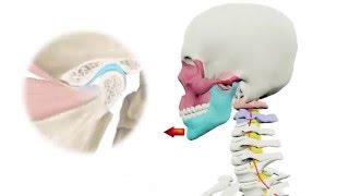 why is the temporomandibular joint(TMJ) important?