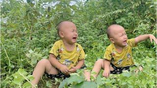 Single mother helping strangers - Helping two lost children - Truong Mai Linh