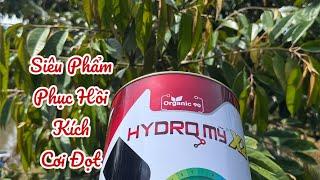 SIÊU PHẨM PHỤC HỒI Sầu Riêng : HYDRO MỸ X2
