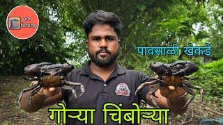 गोऱ्या चिंबोऱ्या  || पावसाळी चढणीचे खेकडे || amazing crab catching technique || pm fishing . ...