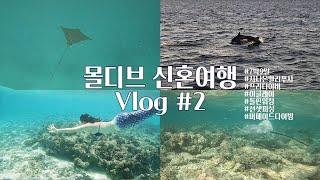 [신혼여행 Vlog #2] 다이버부부가 몰디브바다를 즐기는 법