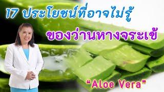 รีบหามาใช้ !! 17 ประโยชน์ที่อาจยังไม่รู้ ของว่านหางจระเข้ | Aloe Vera | พี่ปลา Healthy Fish