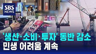 '생산·소비·투자' 동반 감소…민생 어려움 계속 / SBS