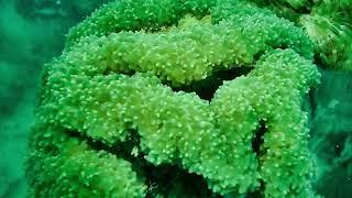 the beauty of the ocean