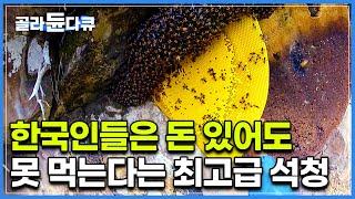 한국에선 수입, 유통 일체 금지된 히말라야 최고급 석청｜절벽에서 목숨걸고 따온 노란 판떼기.. 대체 무슨 맛일까?｜빠랑게｜세계테마기행｜#골라듄다큐