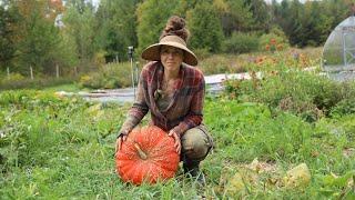 SQUASH OVERLOAD! Harvesting 200+ Heirloom Squashes from our Homestead Garden 