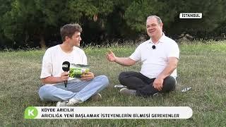 ARICILIĞA YENİ BAŞLAMAK İSTEYENLERİN BİLMESİ GEREKENLER | KÖYDE ARICILIK