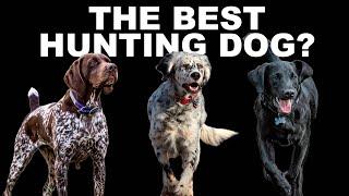 The Best Hunting Dog Breed - Season 2: Episode 40