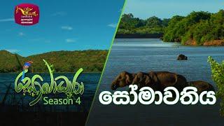 Sobadhara - Sri Lanka Wildlife Documentary | 2020-08-14 | Somawathiya National Park (සෝමාවතිය)