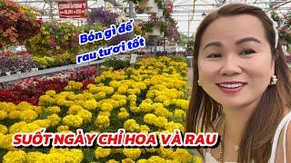 Rủ Cô Bạn Trung Quốc Đi Mua Rau Giống Và Phân, Tiếp Tục Tặng Bạn Rau Của Vườn Nhà | Đến Mỹ Cùng Mai