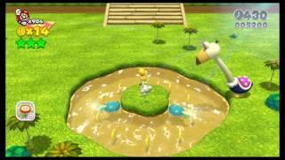 Guía Super Mario 3D World | Mundo Flor 5