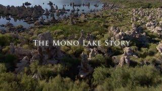 The Mono Lake Story