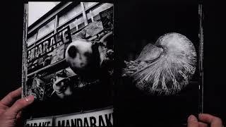 森山大道 Daido Moriyama モノクローム MONOCHROME