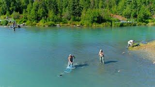 Peak of the Run Wild Salmon Fishing On Kenai River Soldotna Ak 2021 Alaska Small Craft Adventures