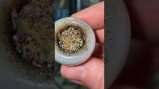 Herbal mixture lavender and tobacco #youtube #boston #medical #youtubeshorts #movie #sage #cigars