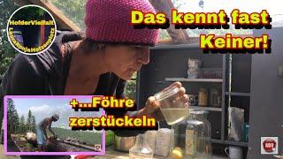 Totalschaden am Kreisler | Doch schon im Juni Heuen | Limonade mit Sprudel aber ohne Kohlensäure!