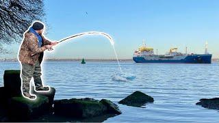 RIVER MERSEY MAYHEM️ UK Sea Fishing 