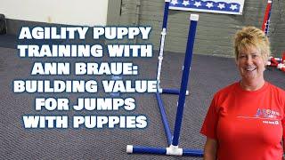 Agility Puppy Training with Ann Braue: Building Value for Jumps with Puppies