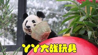 【动物园在逃熊猫】丫丫大战玩具开心到模糊～雪后的丫丫美成一幅画！#大熊猫丫丫 #丫丫最新动态 #国宝