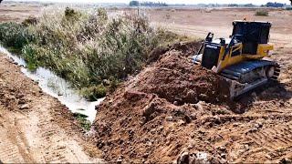 Amazing New Action!! SHANTUI & KOMATSU Bulldozer Clearing Land