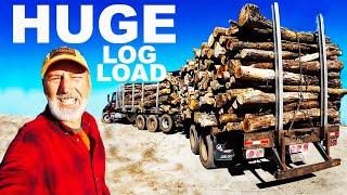 HUGE LOG LOAD OF OAK FIREWOOD DELIVERED!