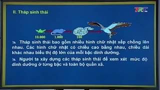 Sinh học 12: TRAO ĐỔI VẬT CHẤT TRONG HỆ SINH THÁI