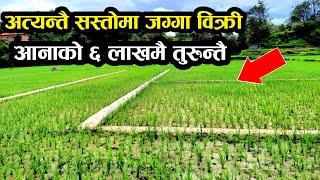 अहिलेसम्मकै सस्तोमा जग्गा बिक्री ललितपुर-Land on sale in Lalitpur-sasto ghar jagga-hamrobazar