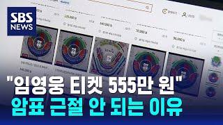 "임영웅 콘서트 티켓 555만 원"…암표 근절 안 되는 이유 / SBS