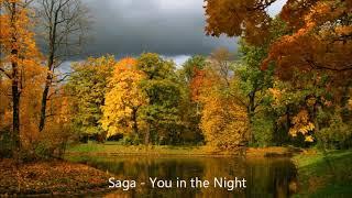 SAGA   You And The Night