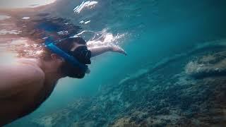 Plongée soumarine dans la mer de dellys