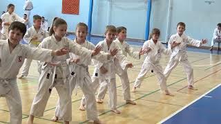 50 LET SANKUKAI KARATE KLUBA DOMŽALE, DRŽAVNO PRVENSTVO V BORBAH OŠ VENCLJA PERKA DOMŽALE 11 5 2024