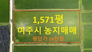 (여주시 점동면 농지매매!)【여주부동산랜드 210번 매물】 경지정리된 논 5,192.1㎡(1,571평) 평단가 16만원, 2억 5136만원