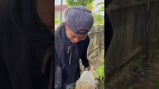 Borong ikan dan beri kejutan kekameramen yang dari dulu pengen pelihara ikan #348 #KOOKIKO