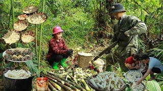 Building a new life Ep.35 | picking bamboo shoots and dishes from bamboo shoots | Live with nature