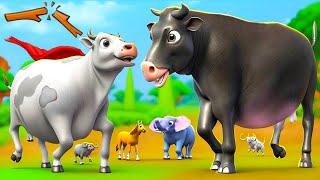 Epic Battle: Giant Black Cow vs Super Cow! Super Cow Heroic Forest Animal Rescue Adventure