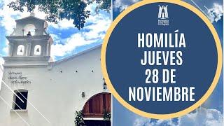 Homilía Jueves 28 de Noviembre 2024 -  Parroquia Santa María de los Ángeles