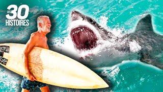Ce surfeur est attaqué par un requin  - Les histoires insolites