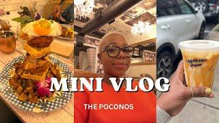 TRAVEL VLOG//THE POCONOS (vacation fail)