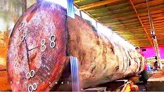 Worried about Exploding || The Biggest Most Feared Wood in the Sawmill