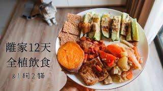 離家 12 天 全植飲食 » 我吃什麼 +  1 狗 2 貓共處 12 Days Away from Home » Live with Pets & Meal Ideas