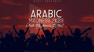 STAiF - Arabic Madness 2k23 (Private Party Animals Dj Tool)