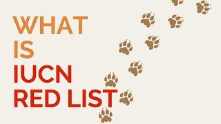 What is the IUCN Red List?