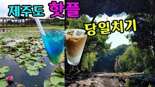 제주도 동쪽 여행 코스 핫플레이스 제주 당일치기 하루코스 1차 Top 10  제주도 가볼만한곳!