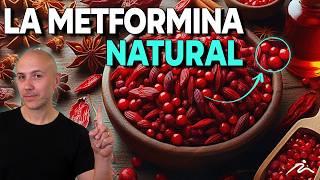 ¡CONTROLA la DIABETES con BERBERINA! El clon NATURAL de la METFORMINA