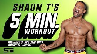 Shaun T 5 Minute Workout Shoulder's, Bi's and Tri's Dumbbell Circuit