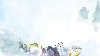 Wedding HD Stock Video|Free HD Videos - No Copyright | Channel Video Editor 4K Watercolor and Floral