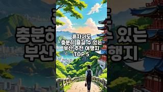 잡지식-부산에서 혼자 가기좋은 장소 TOP5