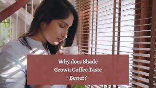 Why does Shade Grown Coffee Taste Better? | Sustainable Coffee | Indian Coffee | How coffee is grown