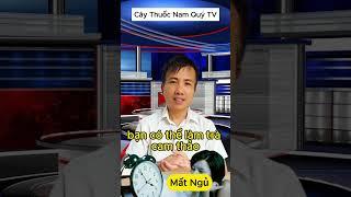 Điều Trị Mất Ngủ Với 7 Cây Thuốc Nam Đơn Giản #caythuocnamquytv #caythuocnamquy #caythuocnam
