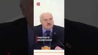 Лукашенко: Работаете безобразно! #shorts #лукашенко #новости #политика #беларусь #коррупция